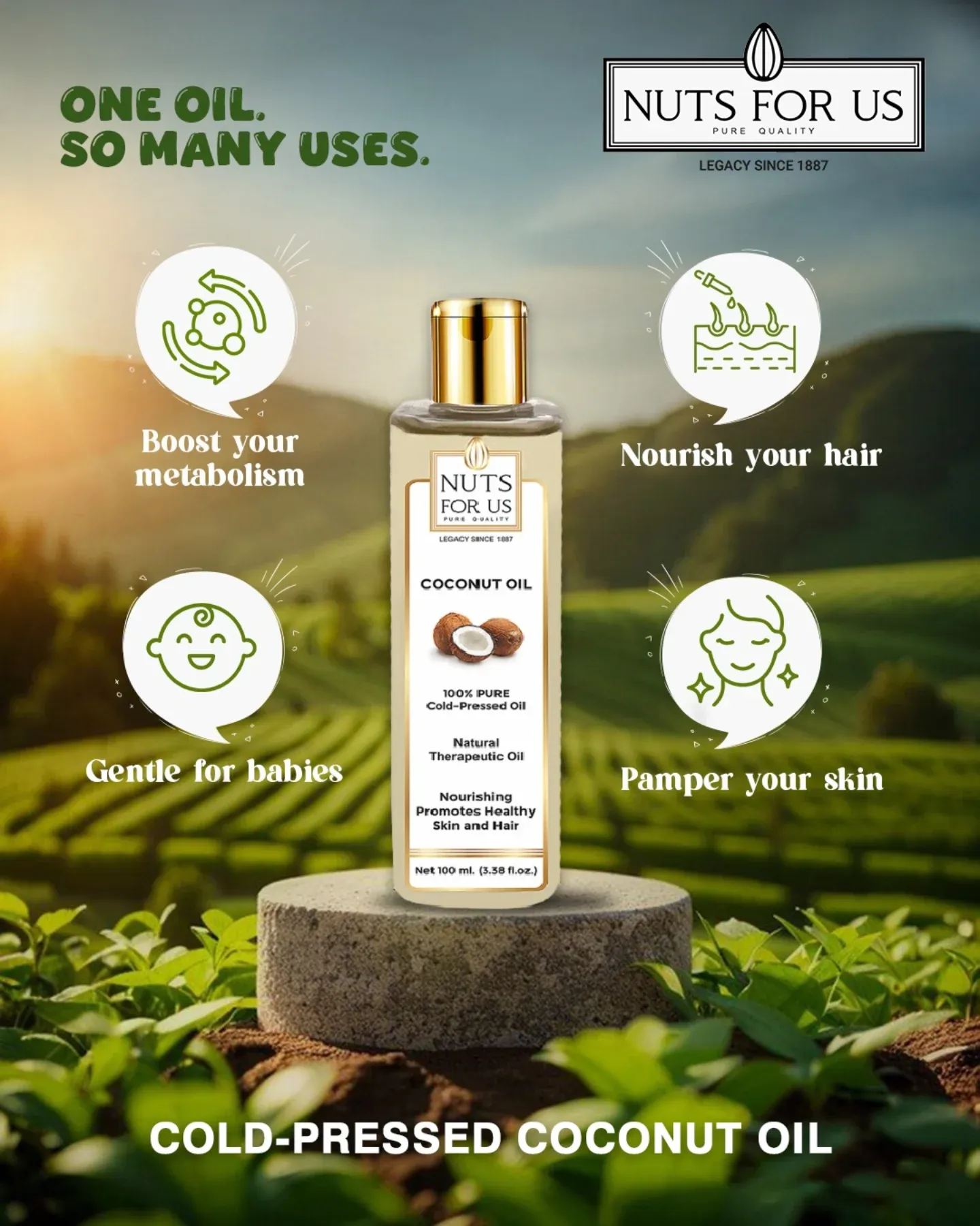 Cold Pressed Almond Oil and Coconut Oil Combo | Nuts For Us - Image 5